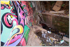 Graffiti and rubbish.  Villa Magdalenda neighborhood.  Alley between Rua Padre Jo?Gon?ves and Rua Belmiro Braga.