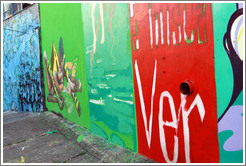 Graffiti and water flowing from a drainpipe.  Villa Magdalenda neighborhood. Alley between Rua Padre Jo?Gon?ves and Rua Belmiro Braga.