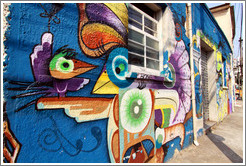 Graffiti: birds.  Villa Magdalenda neighborhood.  Rua Belmiro Braga and Rua Cardeal Arcoverde.