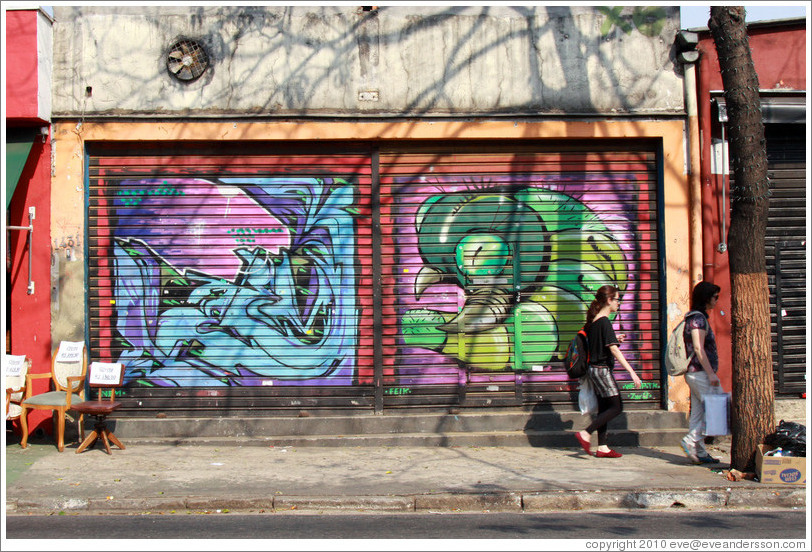 Graffiti: two panes, one predominantly blue, the other containing a large green insect.  Villa Magdalenda neighborhood.  Rua Cardeal Arcoverde.