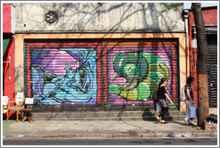 Graffiti: two panes, one predominantly blue, the other containing a large green insect.  Villa Magdalenda neighborhood.  Rua Cardeal Arcoverde.