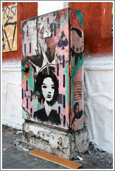 Graffiti: woman with a crown on a pink background.  Villa Magdalenda neighborhood.  Rua Cardeal Arcoverde.