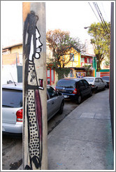 Graffiti: man with dreadlocks on lamppost.  Villa Magdalenda neighborhood.  Rua Padre Jo?Gon?ves and Rua In?o Pereira da Rocha.