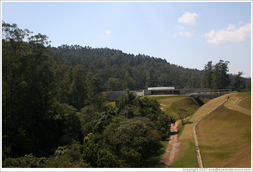 Forest planted at headquarters of Natura, Brazil's largest cosmetics company.