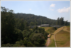 Forest planted at headquarters of Natura, Brazil's largest cosmetics company.