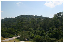 Forest planted at headquarters of Natura, Brazil's largest cosmetics company.