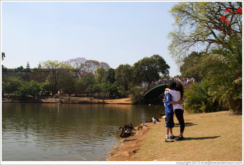 Couple kissing by a lake.  Parque do Ibirapuera.