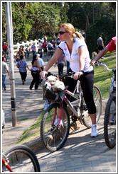 Woman riding a bike with a dog in its basket.  Parque do Ibirapuera.
