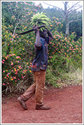 Boy carrying bananas and a machete on a farm near Bangangt