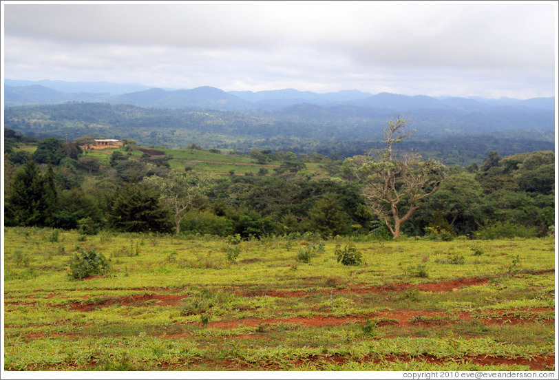 Landscape in a vast farm near Bangangt