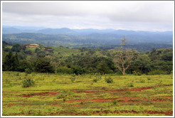 Landscape in a vast farm near Bangangt