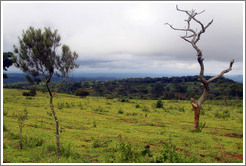 Landscape in a vast farm near Bangangt