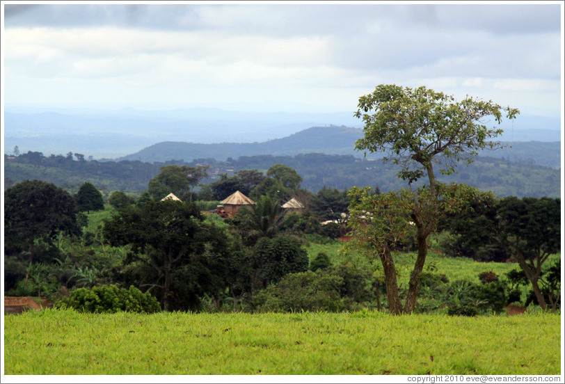 Landscape in a vast farm near Bangangt