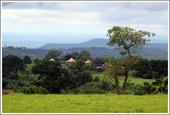 Landscape in a vast farm near Bangangt