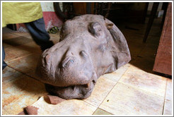 Rhinoceros head.