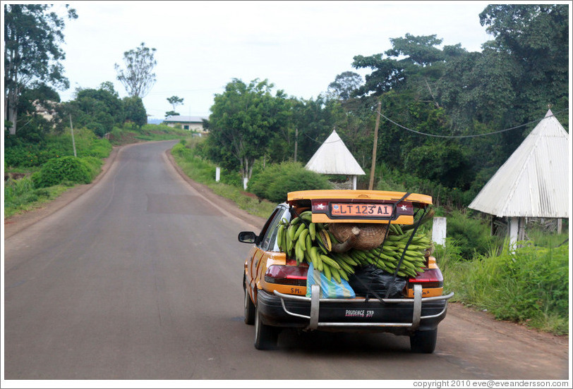 Car loaded with bananas on Route N5.