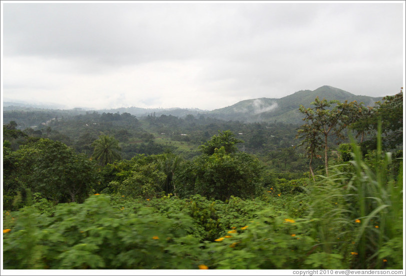 Home > Cameroon > Landscape seen from Route N5.