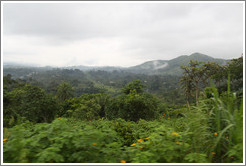 Landscape seen from Route N5.