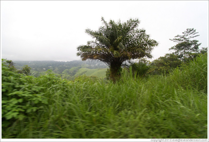 Landscape seen from Route N5.