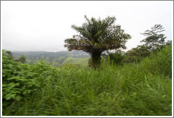 Landscape seen from Route N5.