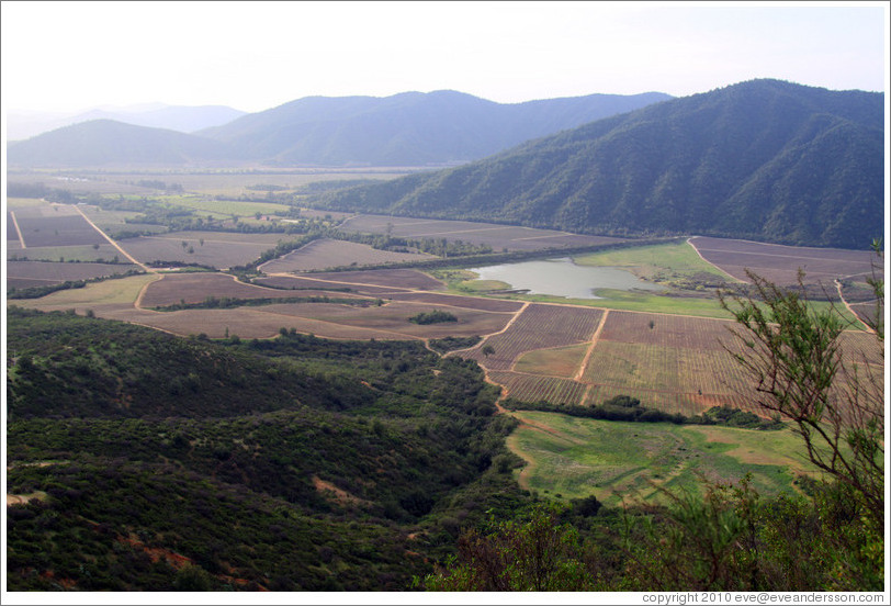 Casablanca Valley.