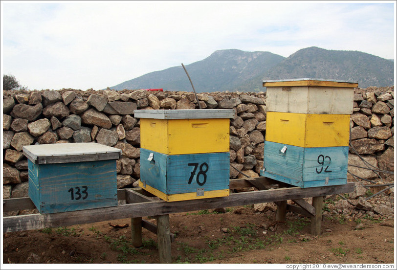 Boxes that bees live in.  Emiliana Vineyards.