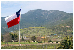 Vineyard, mountains and a Chilean flag.  Veramonte Winery.