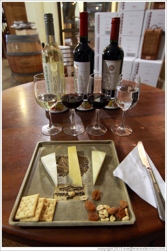 Wine and cheese tasting, Veramonte Winery.