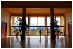 Hall, Veramonte Winery.