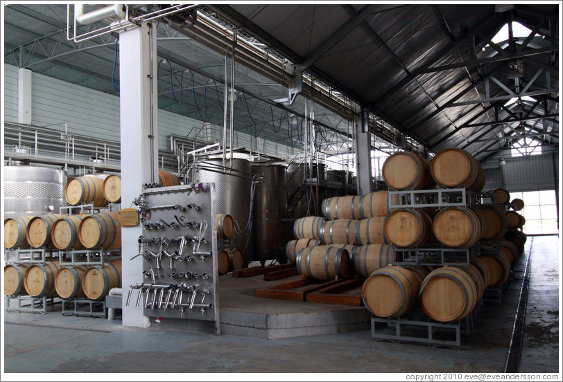 Barrels and tanks, Casas del Bosque.