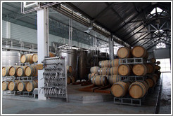 Barrels and tanks, Casas del Bosque.