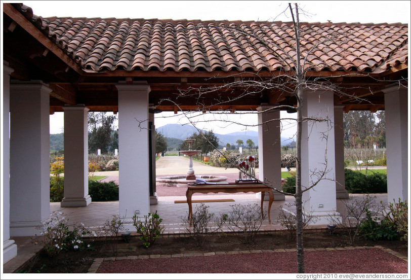 Courtyard, Casas del Bosque.