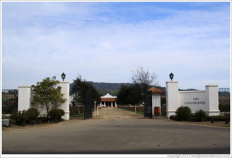 Entrance, Casas del Bosque.