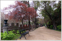 Bench and path, Cerro Santa Luc?