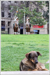 Homeless dog, with two La Moneda guards riding horses behind.  Constitution Plaza.