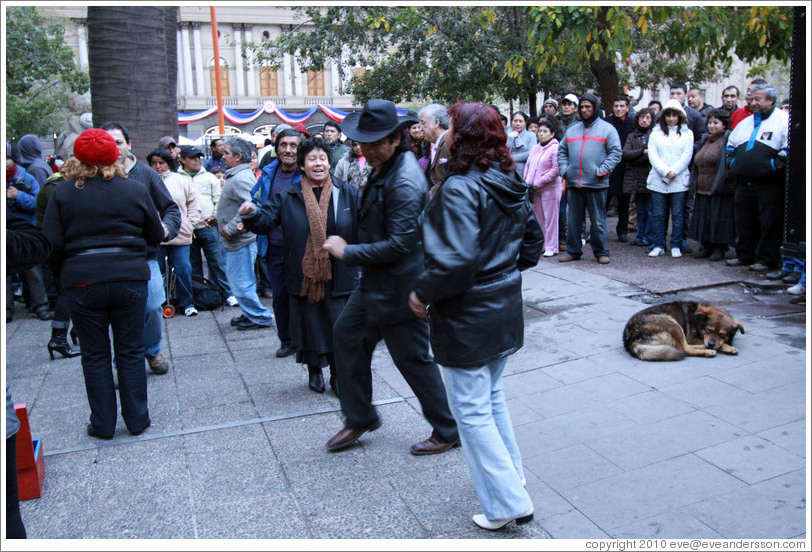 Homeless dog, sleeping while people dance salsa nearby.  Plaza de Armas.