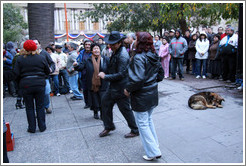 Homeless dog, sleeping while people dance salsa nearby.  Plaza de Armas.