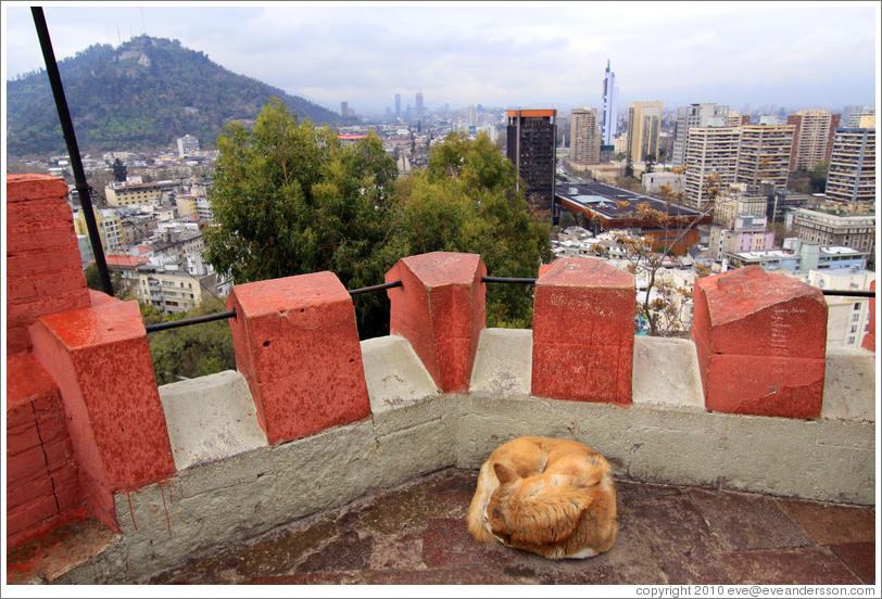 Homeless dog, sleeping in the observation tower on the top of Cerro Santa Luc?