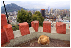 Homeless dog, sleeping in the observation tower on the top of Cerro Santa Luc?