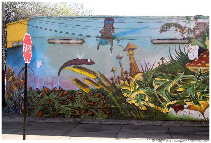 Graffiti: mushrooms, fireflies, and creatures.  Dardignac at Pur?ma, Bellavista neighborhood.