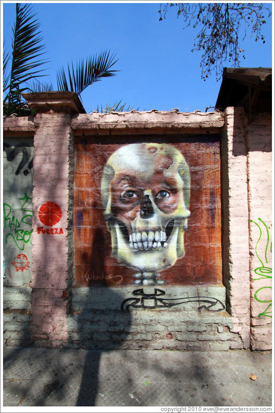 Graffiti: skull with eyes.  Santa Filomena near Ernesto Pinto Lagarrigue, Bellavista neighborhood.