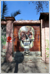 Graffiti: skull with eyes.  Santa Filomena near Ernesto Pinto Lagarrigue, Bellavista neighborhood.
