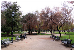 Rows of benches, Parque Forestal.