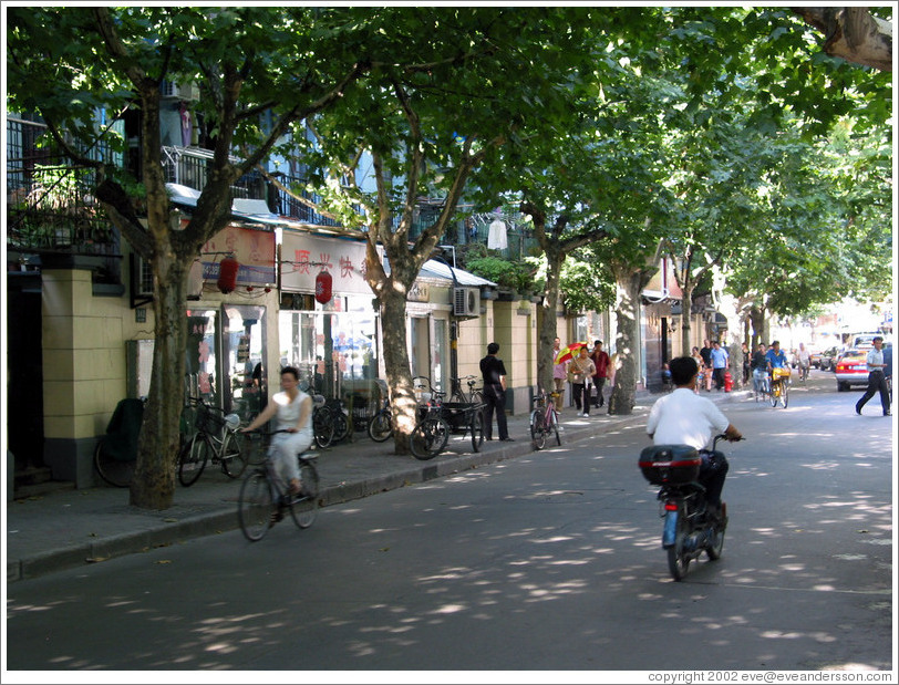 Frenchtown.  Tree-lined street.