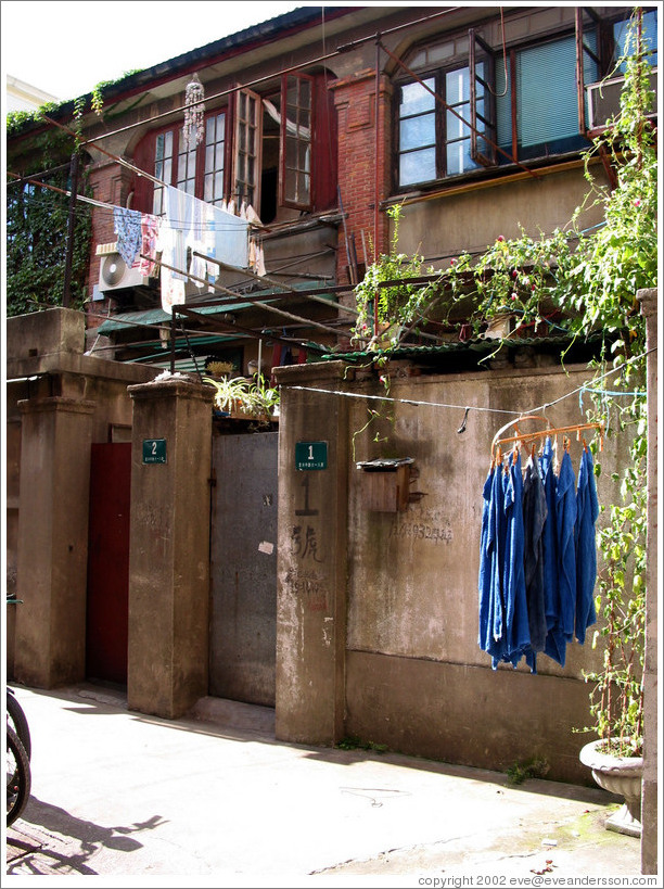 Street in the French concession area.  The smelliest place I've ever visited.