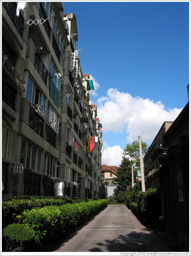Street in the French concession area.