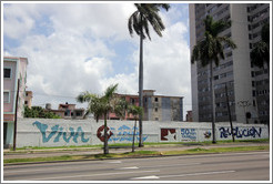 Words painted on a wall on Avenida de la Independencia: "Viva Cuba"; "50 de vanguardia"; "vamos x m&aacute;s"; "Revoluci&oacute;n".