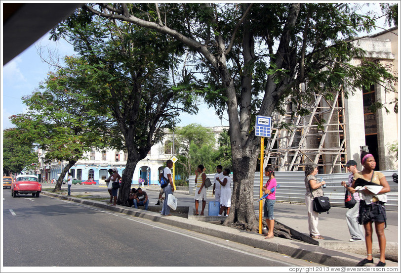 Bus stop, Avenida Salvador Allende (Carlos III).