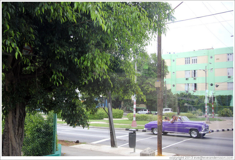 Purple car, 17th Street.