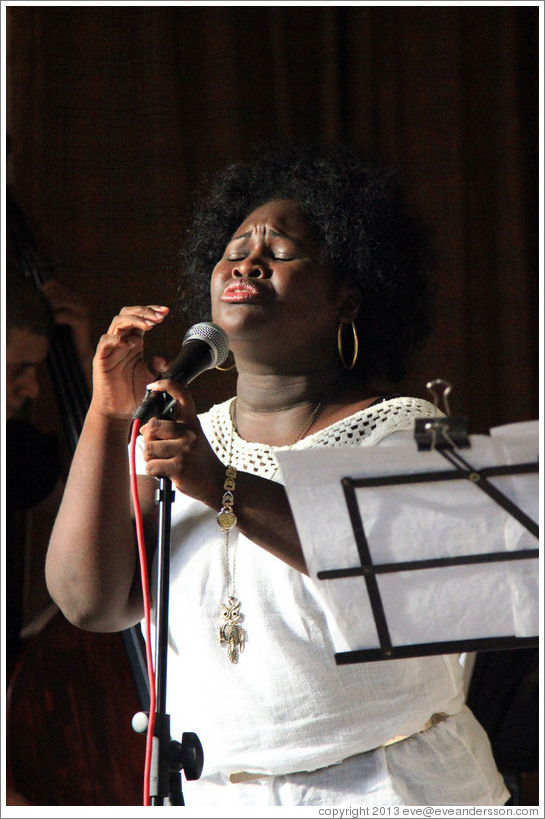 Singer Dayme Arocena Uribarri, performing at a private home in Miramar.